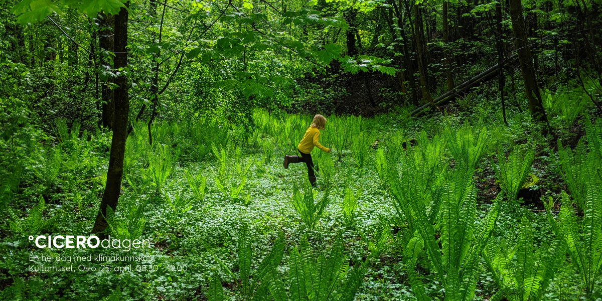 Image missing description