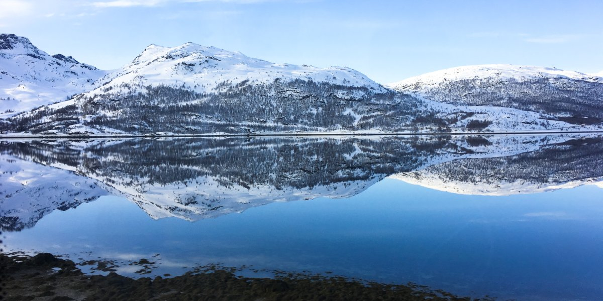 Image missing description