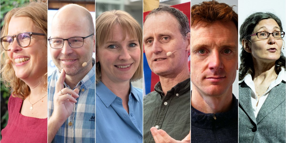 Image missing description