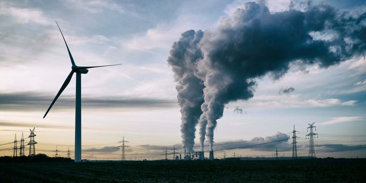 Image missing description