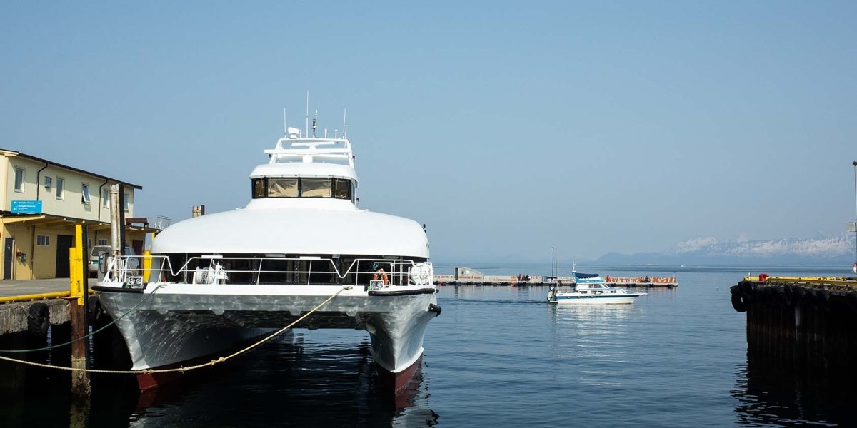 Image missing description