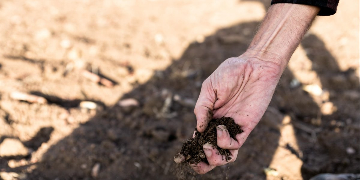 Image missing description