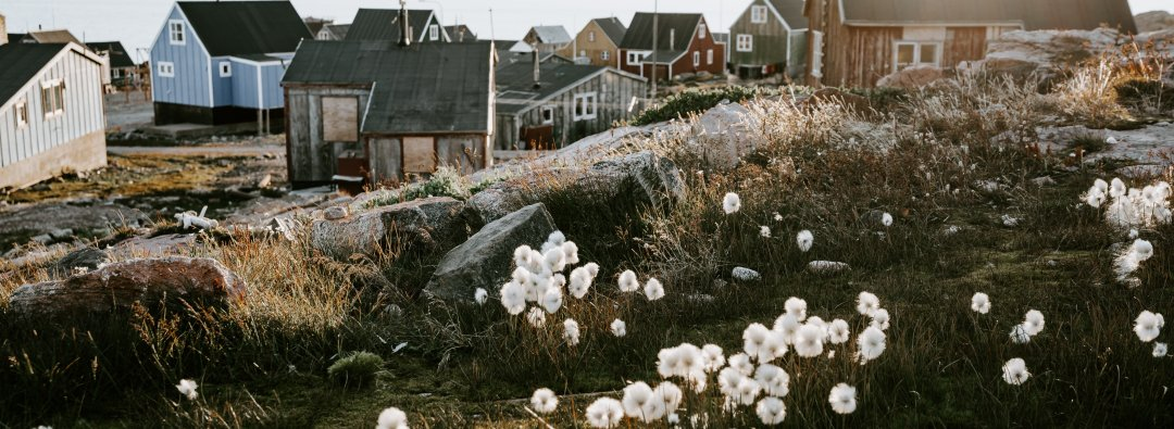 Bilde mangler beskrivelse