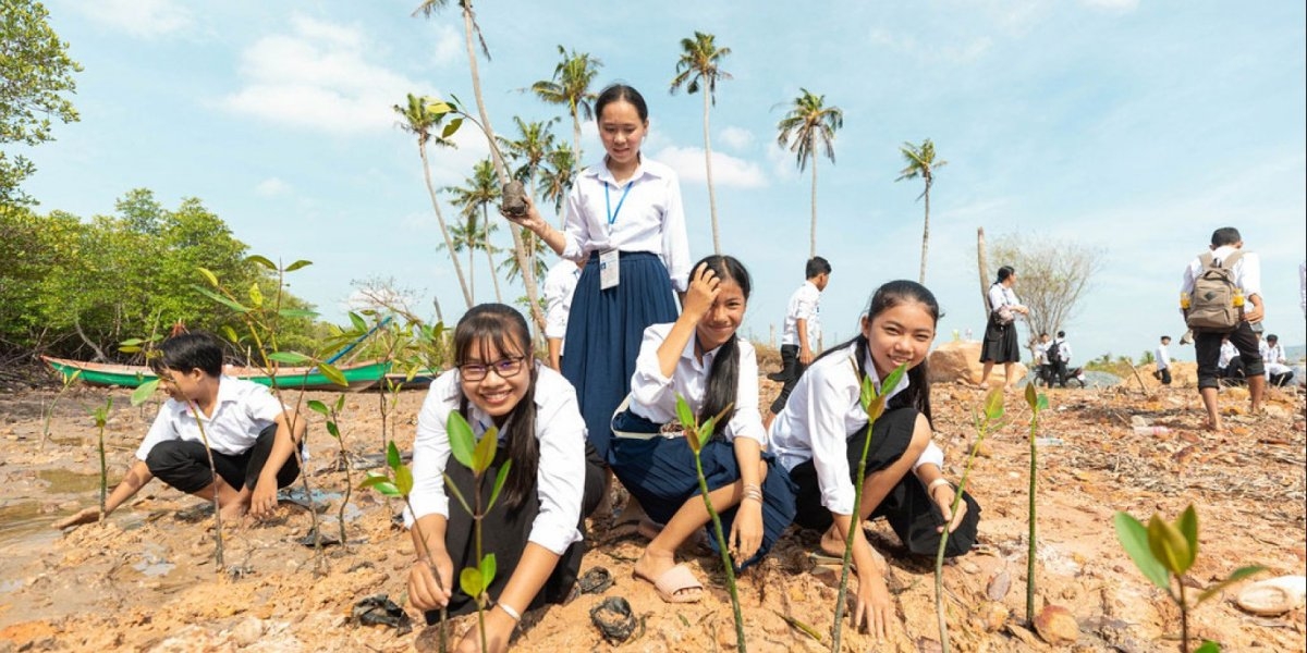 STUDENTER PLANTER MANGROVESKOG I KAMBODSJA