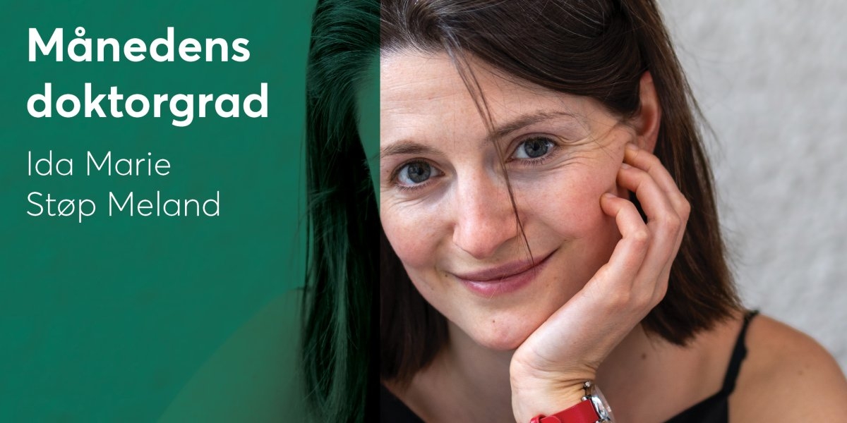 Bilde mangler beskrivelse