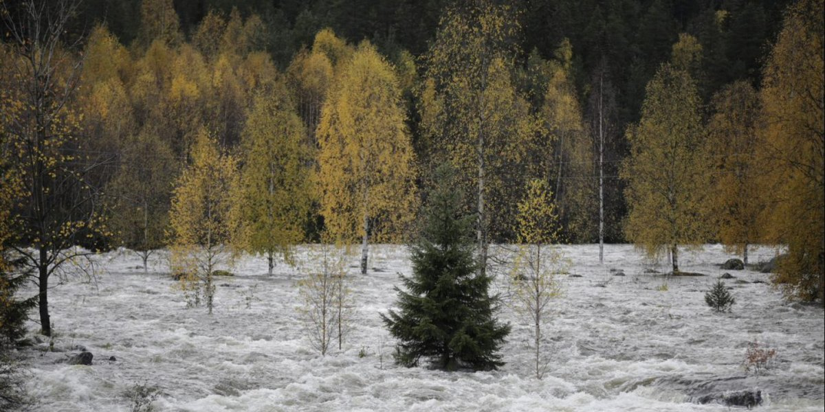 GOL KOMMUNE HAR SPESIELT UTFORDRINGER KNYTTET TIL ENDRET VANNFØRING OG ØKT NEDBØR OG HAR KOMMET LANGT I ARBEIDET MED KLIMATILPASNING.