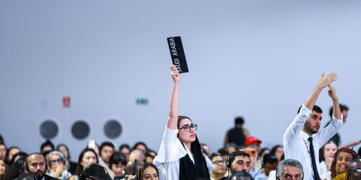 Saudi Arabia ber om ordet i det avsluttende plenumsmøtet