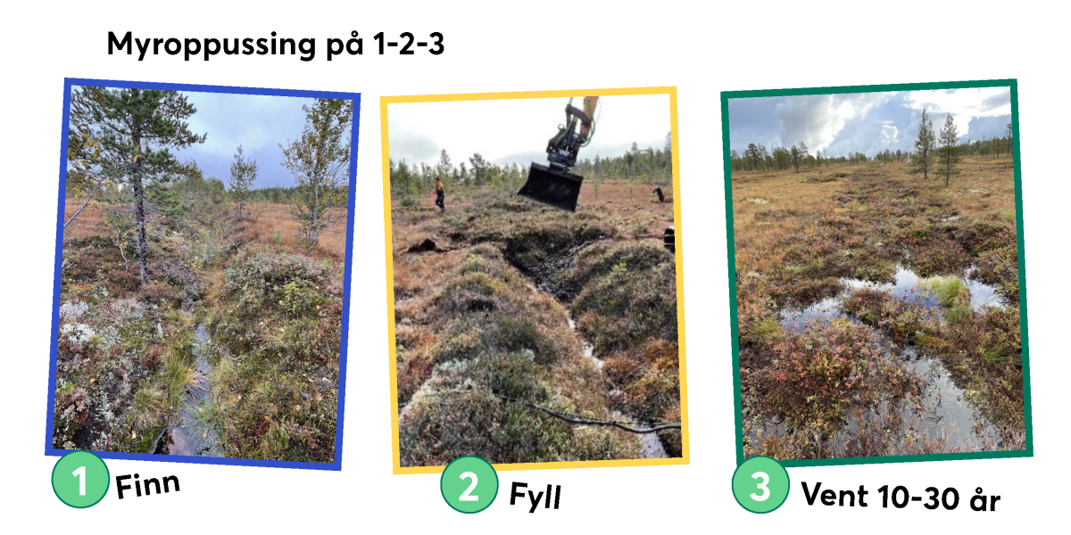 Bilde mangler beskrivelse