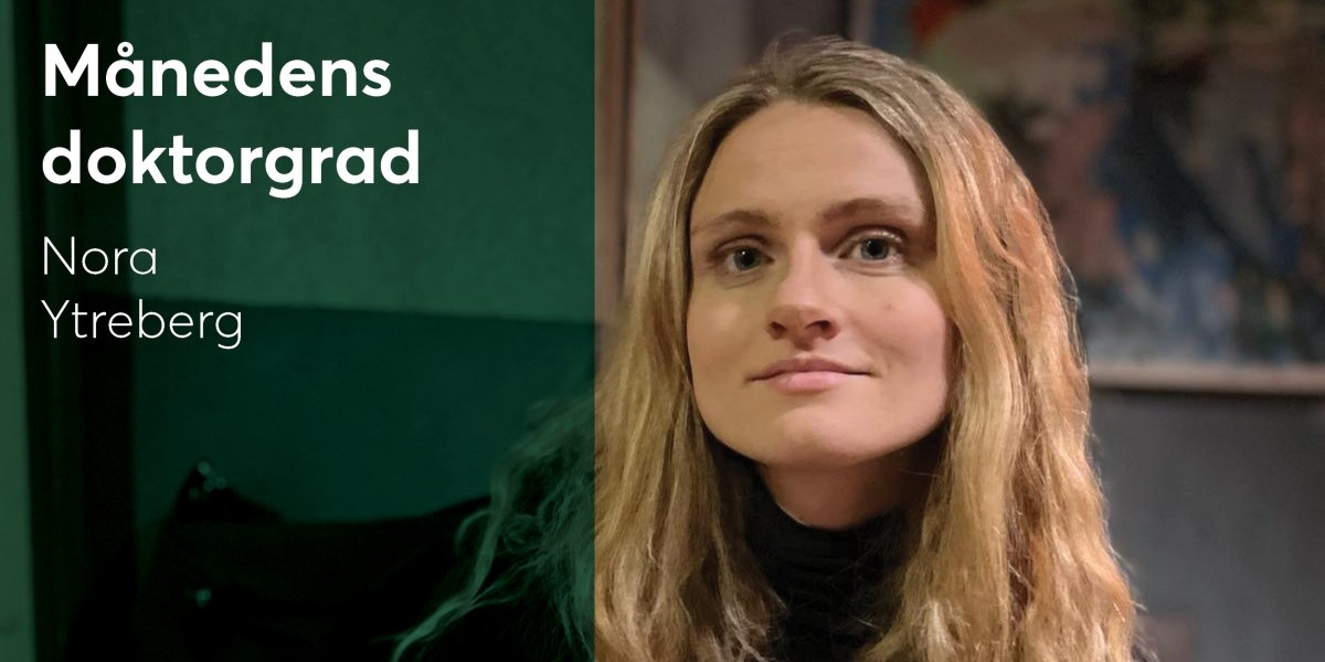 Bilde mangler beskrivelse