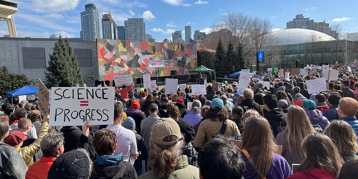 Bilde mangler beskrivelse