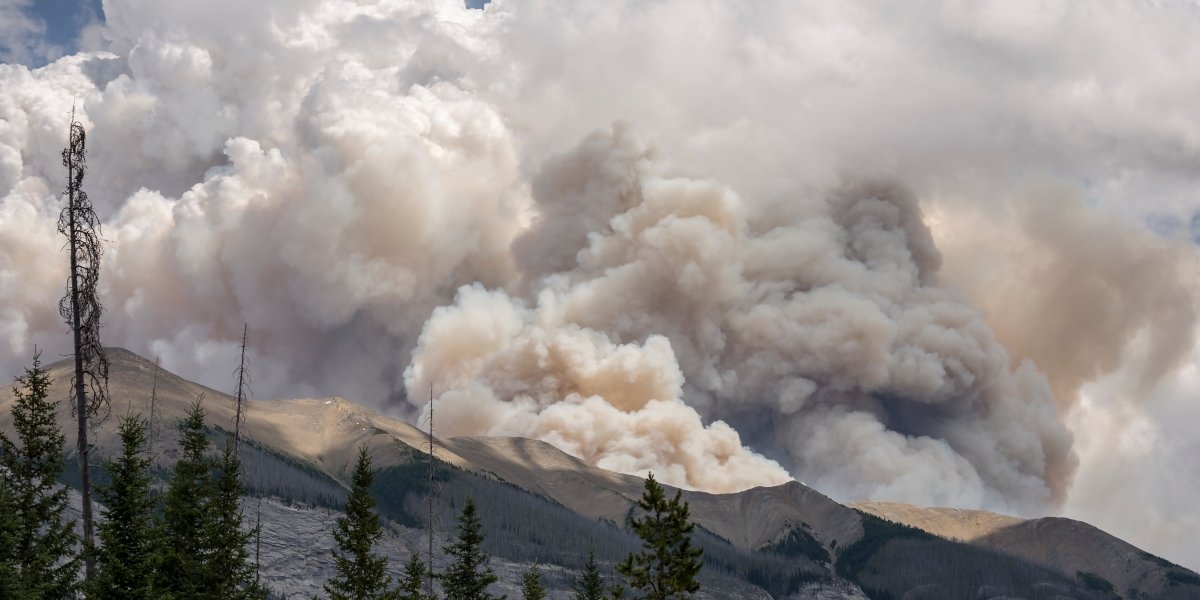 Bilde mangler beskrivelse